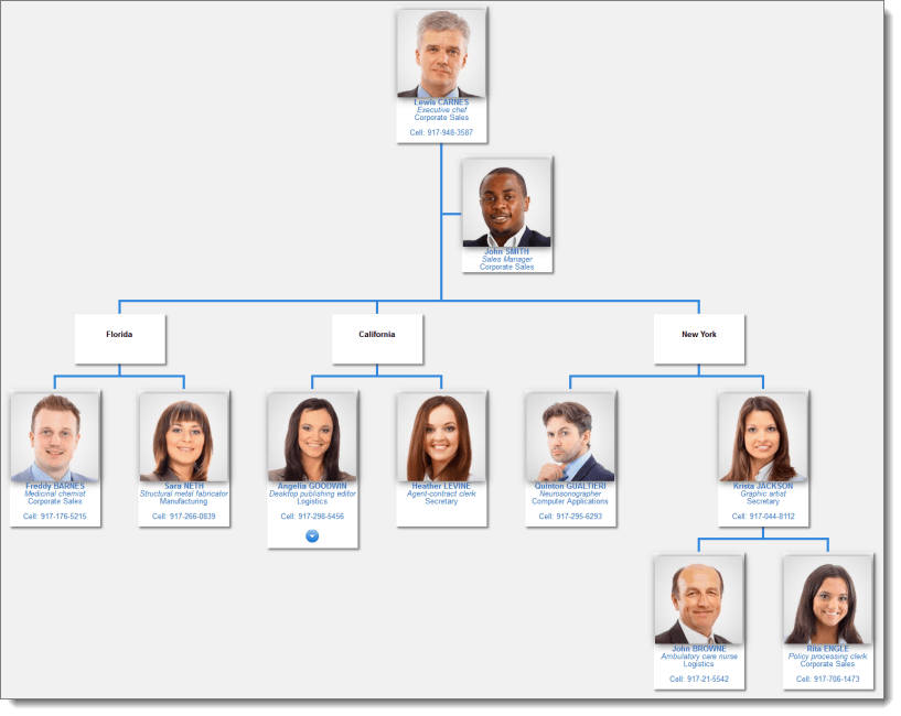 Wp Organization Chart